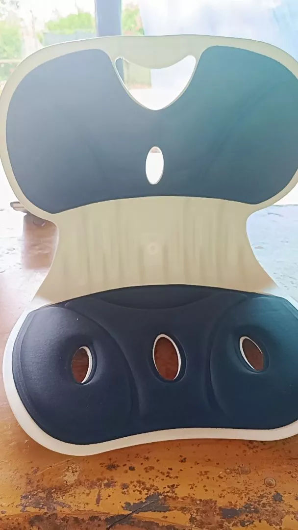 Avaliacao de Carmen Souza